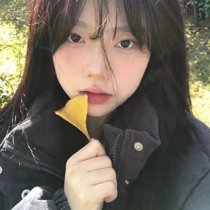 毛衣女郎